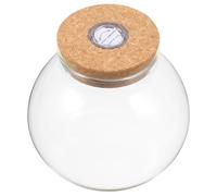 CAXUSD Botella Ecológica de Vidrio Borosilicato 2l con Luz LED de Color Claro para Terrario de Plantas, Decoración de Micropaisaje DIY y Pecera para Hogar y Oficina