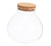 CAXUSD Ecological Micro Landscape Bottle Glass Jar with Cork Stopper Smooth Surface Home Decor Terrarium Planter For and Office DIY Ornament Gift