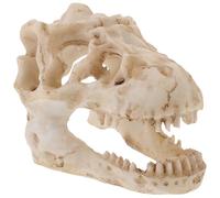 CAXUSD Modelo de Cráneo de Dinosaurio de Resina Esqueleto de Dinosaurio Beige Realista y Resistente para Terrarios Coleccionistas Decoración de Estanterías y Escritorios