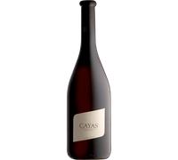 Cayas Syrah Réserve 2020 - Dominio Jean-René Germanier