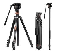 Cayer 75" Trípode Monopié de Video con Cabezal Fluido, Placa QR de Aleación de Aluminio Compatible con dji RS Gimbal, 360° Pan e Inclinación de +90°/-70° para DSLR, Carga Máx: 8kg, FP2450