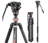 Cayer CF2451 Video Tripod 75 inches Carbon Fiber Tripod Leg with Fluid Drag Head 4-Section Compact DSLR Tripod Convertible to Monopod for D