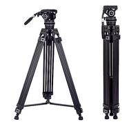 Cayer Pro Video Tripod 74" with Fluid Head, Compatible with dji RS Gimbals Manfrotto, Flexible 360° Pan&+90°/-75° Tilt with Adjustable Damping MAX Load 22lb/10kg, BF310
