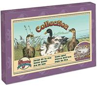 Cayro - Juego de la Oca - Juego de Mesa para Niños y Adultos - Niños Mayores de 8 Años - Juego de Mesa Clásico - Desarollo de Habilidades Cognitivas - Tradicional y Divertido