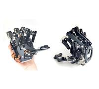 CAYUND Mano de Robot de 5 Grados de Libertad con servo, Palma biónica Izquierda/Derecha, Pinza ensamblada for Robot programable(Left and Right Hand)