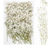 Cayway 120 Pz Flores Prensadas Secas, Flores Celestiales Naturales Flor Prensada Mezclada, DIY Flores Secas Prensadas para Resina Scrapbooking, Joyería de Resina Epoxi