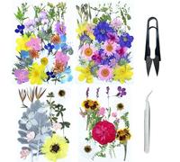 Cayway 4 Paquete Naturales Flor Prensada Mezclada, Naturales Flores Prensadas Secas Bricolaje Conjunto de Flores Secas para Resina Scrapbooking, Joyería de Resina Epoxi, Estilo D