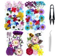 Cayway 4 Paquete Naturales Flores Prensadas Secas, Naturales Flor Prensada Mezclada, DIY Flores Secas Prensadas para Resina Scrapbooking, Joyería de Resina Epoxi, Estilo C