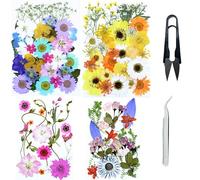 Cayway 4 Paquete Naturales Flores Prensadas Secas, Naturales Flor Prensada Mezclada, DIY Flores Secas Prensadas para Resina Scrapbooking, Joyería de Resina Epoxi, Estilo A