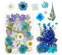 Cayway 40 Pz Naturales Flores Prensadas Secas, Azul Hojas Prensadas Secas Naturales, Flores Secas Reales para Resina, Scrapbooking, Joyería de Resina Epoxi