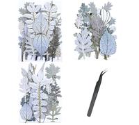 Cayway 46 Piezas Blanco Naturales Flor Prensada Mezclada, Naturales Flores Prensadas Secas Bricolaje Conjunto de Flores Secas para Resina Scrapbooking, Joyería de Resina Epoxi