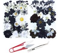 Cayway 60 Pz Naturales Flores Prensadas Secas, Blanco y Negro Hojas Prensadas Secas Naturales, Flores Secas Reales para Resina para Resina Scrapbooking, Joyería de Resina Epoxi, Estilo A