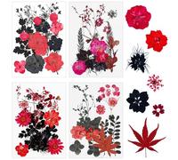 Cayway 64 Pz Naturales Flores Prensadas Secas, Negro y Rojo Hojas Prensadas Secas Naturales, Flores Secas Reales para Resina para Resina Scrapbooking, Joyería de Resina Epoxi, Estilo B