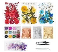 Cayway 66 Piezas Naturales Flor Prensada Mezclada, Naturales Flores Prensadas Secas Bricolaje Conjunto de Flores Secas para Resina Scrapbooking, Joyería de Resina Epoxi