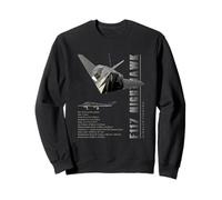 Caza furtivo F-117 Nighthawk (especificaciones) Sudadera