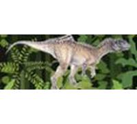 Cazadores De Dragones