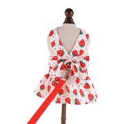 CAZSTYK Conjunto de vestido de princesas y gatos, bonito traje de perro a la moda, arneses para mascotas pequeñas, trajes de cumpleaños de moda para perros