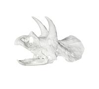 CAZSTYK Dinosaur Head Marinepark - Cubierta de cueva para animales marinos a base de maíz natural/PETG no mortal adición de hábitat Herpeton refugio cueva para serpientes