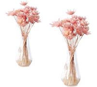 CAZSTYK Jarrón de cristal en miniatura y flores secas, 1/12, decoración de casa de muñecas, accesorios de jardín para arreglo de escena de modelo, arreglo de flores secas en miniatura