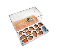 CBFGGOEUDFBS Kit de Granja de Hormigas Transparente for observación de colonias de Hormigas. Casa de Hormigas for entusiastas de la Ciencia.(Number 7)