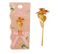 CBMZHF Rosa galaxia colorida de 24 quilates, regalos del día de San Valentín para ella, flores artificiales infinitas, regalo eterno para mujeres, mamá, novia, esposa, hija, día de la madre