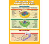 CBQZCHWDKT Biology Classroom Poster: Eukaryotic & Prokaryotic Cells - Detailed Labeled Diagram for Middle & High School Science, STEM Lab Decor(Unframed,16x24inch(40x60cm))