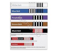 CBQZCHWDKT BJJ Belt Ranking System Poster All Belt Colors Progression Guide Brazilian Jiu Jitsu Training Academy Wall-Art Gift(Framed,16x24inch(40x60cm))
