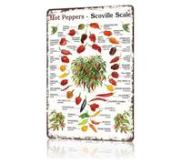 CBQZCHWDKT Chili Burn Scale Metal Signs 12x8 Inch