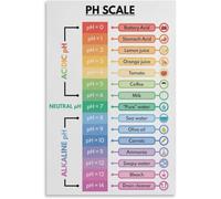 CBQZCHWDKT Minimalist pH Scale Print - Chemistry Chart & Science Wall Art, Clean Design for Office, Dorm Room, or Contemporary Home Decor(Unframed,16x24inch(40x60cm))