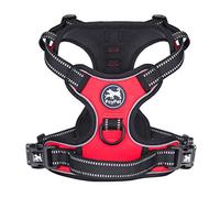 CBROSEY PoyPet Arnés de Perro sin tirón, arnés Reflectante con 2 Correas y Mango de fácil Control para Perros pequeños, medianos y Grandes (Rojo, M)