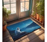 CBRT Felpudo con texto divertido con texto en inglés "A White Fox Gazes At A Starry Night Sky Over A Serene Lake", juego de tapetes de baño divertidos para decoración al aire libre (50 x 80 cm)