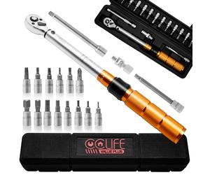 CCLIFE Llave Dinamométrica 1/4'', 1-25 Nm Llave de Torque, Kit de mantenimiento de 19 piezas para bicicletas y motocicletas, con 1/4'' CRV Hex y Torx Bits, Junta Universal, 100m Barra de Extensión
