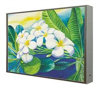 CCRETROILUMINADOS Cuadro con Marco Madera Lacada en Blanco Iluminado con Luz Leds Plumeria