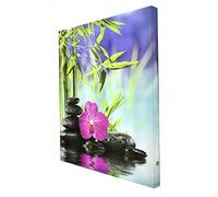 Ccretroiluminados Orquidea con Piedras Cuadro iluminados con Leds, Metacrilato, Multicolor, 100 x 80