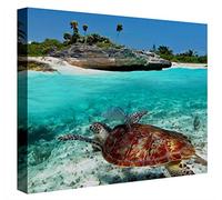 Ccretroiluminados Playa del Carmen Cuadro Retroiluminado Acrílico Multicolor 60x60x5.3 cm