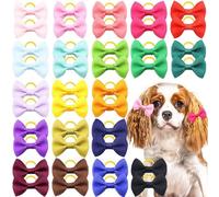 CCUUHJ Paquete de 40 lazos para el pelo de perro pequeño con bandas elásticas de goma para perros, gatitos, accesorios de aseo para pelo largo, cachorros, gatos, lazos para el pelo (multicolor)