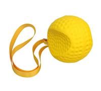ccuzs Golf Training - Aid Ball Swing Corrector Between Arms Tool | Straight Arm Alignment Assistant Lightweight Elastic Connection Design Portable for Beginners, Teens, Players or Family