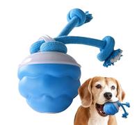 ccuzs Interactive Dog Ball, Touch Motion Activated Rolling Toys, Usb Rechargeable Squeaky Ball, Smart Rolling Pet Toy for Puppies, Small & Medium Dogs, Indoor Play, 2.95x2.95 Inches