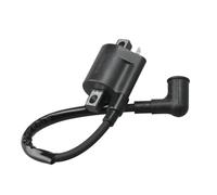 CCXTZC Bobina de Encendido Compatible con Piezas de Motor de Motor de 2T 5HP en Bote 369-06050 16064A1 369-06050-1 3F9-06050-0