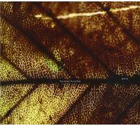 CD gene Japón Pay money To my Pain Music Aka Renren (CD x 1) VPCC-81781 NUEVO
