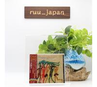 CD SEIJI OZAWA -STRAVINSKY: EL CONSAGRAMIENTO DE LA PRIMAVERA. PETROUCHKA Y...