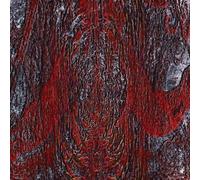 <![CDATA[Asfast - The Prime Same (Limited Edition) (High Quality) (Clear /Red Coloured) (LP)]]>
