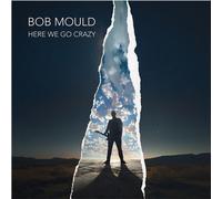 Here We Go Crazy -Vinilo