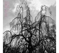 Colin Stetson y Sarah Neufeld – Never Were the Way She Was – Vinilo (Importación USA)