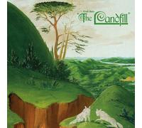 Fruit Bats - The Landfill (Pink Splatter in Clear Coloured) (LP)