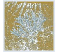Huerco S. - For Those of You Who Have Never (2lp) [Vinilo]