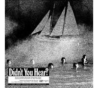 Mort Garson – Didn't You Hear? – Vinilo (Importación USA) – Cargo Records