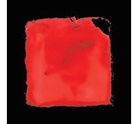 Salvia Palth – Last Chance to See – Vinilo 12" (Importación USA)