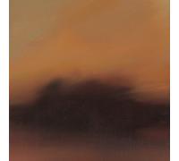 <![CDATA[The Besnard Lakes - The Besnard Lakes Are The Ghost Nation (Clear Coloured) (LP)]]>