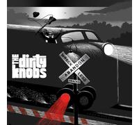 The Dirty Knobs Wreckless Abandon (Vinyl) 12" Album (Importación USA)